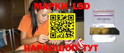 стафф Бийск