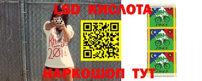 стафф Бийск