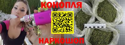 стафф Бийск