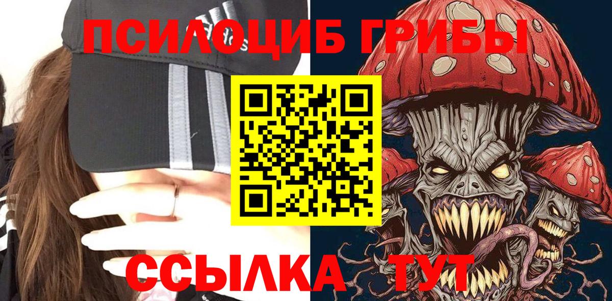 Псилоцибиновые грибы Cubensis  купить закладку  Владимир 