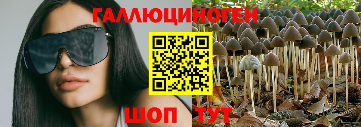Владимир  сколько стоит  Вход с VPN  Галлюциногенные грибы мицелий 