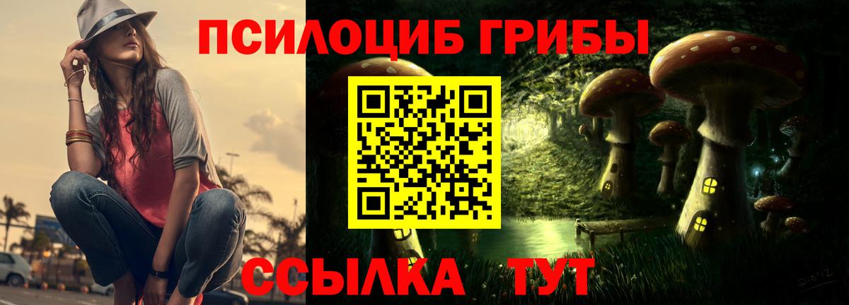 Галлюциногенные грибы Psilocybe Владимир
