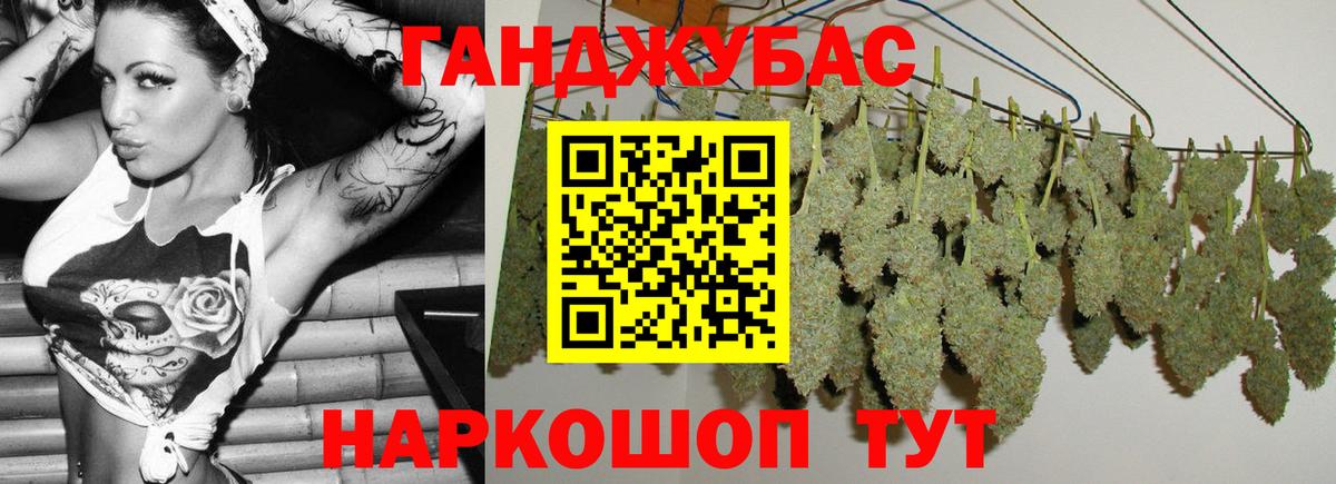 Марихуана сатива  Каннабис семена  Бошки Шишки планчик  Бошки Шишки Ganja  Владимир 